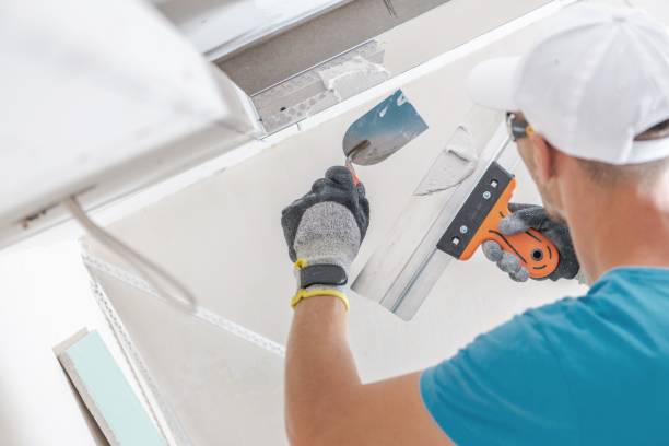 Best Basement Mold Removal  in Belterra, TX